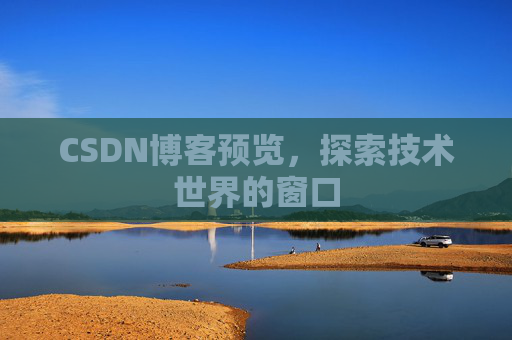 CSDN博客预览，探索技术世界的窗口